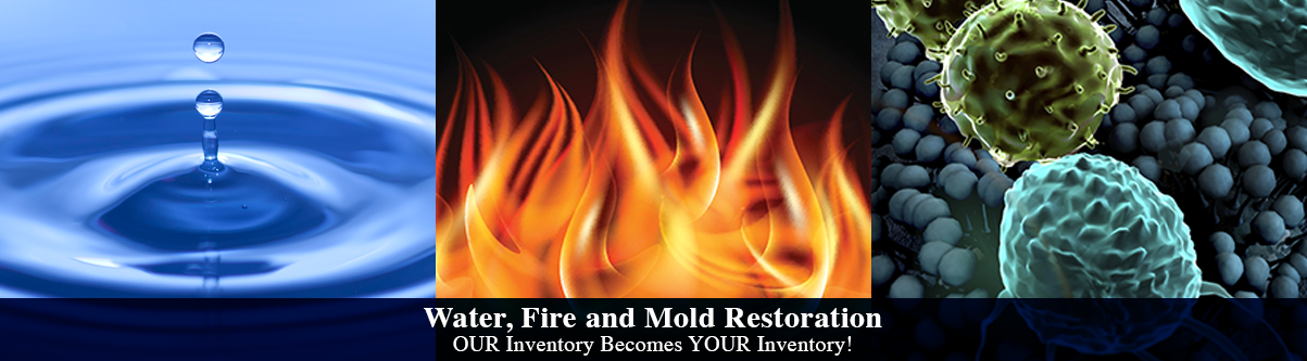 water fire mold